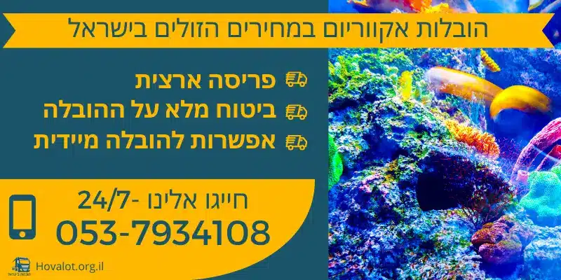 באנר הובלת אקווריום